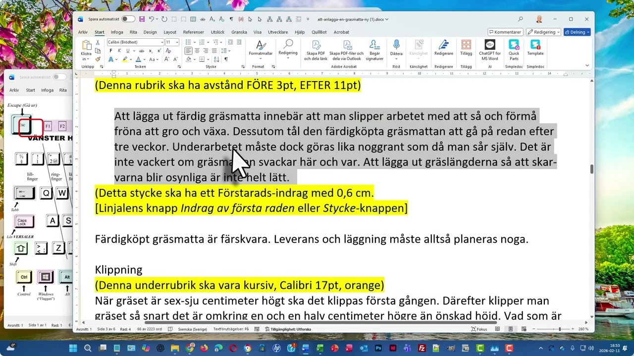 info1_anlagga_en_grasmatta_del2