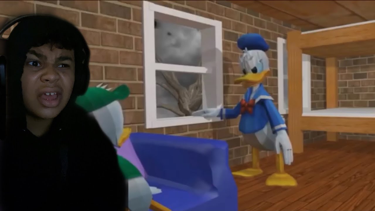 Donald Dok Reaction