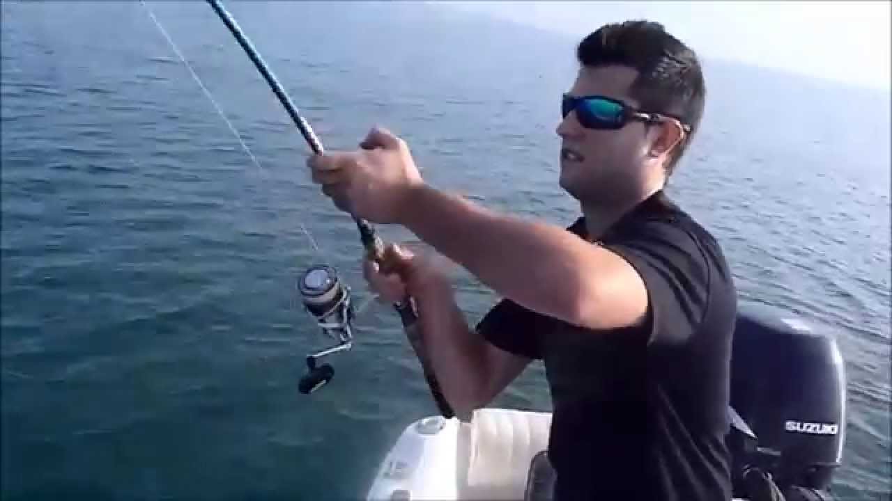 Delta del Ebro: anjovas a spinning con ErikTorres
