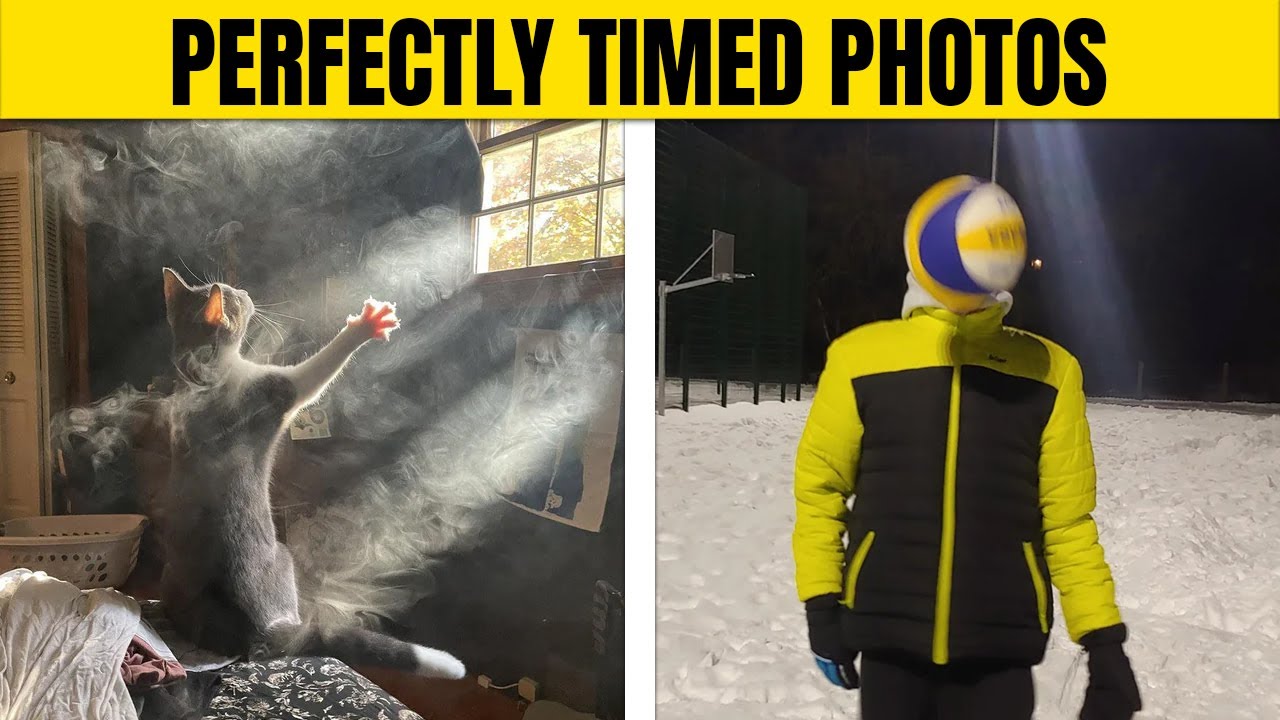 The Funniest Perfectly Timed Photos That People Have Posted