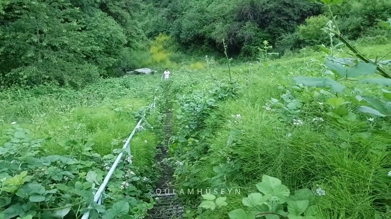 Samaxı Cuxur yurd