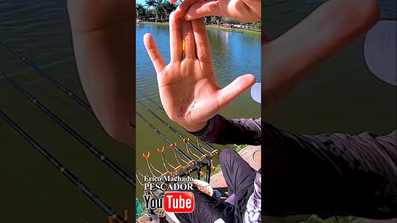 Melhor sistema para pescar Til&aacute;pias na di&aacute;ria #fishing #pesca #pescaria #shots