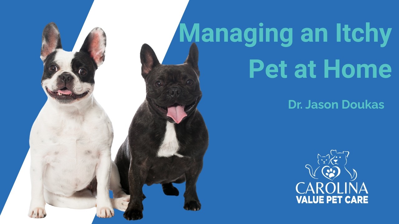 Managing the Itch at Home