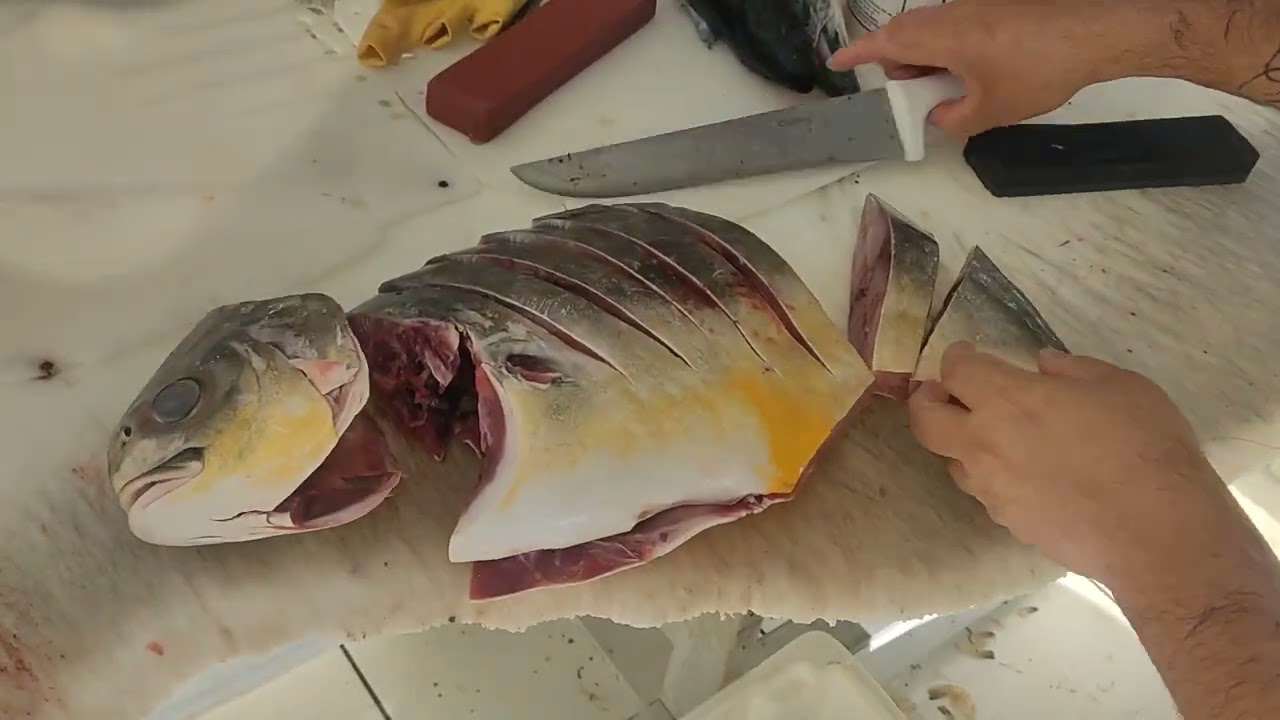 Limpando e Cortando Peixe PAMPO