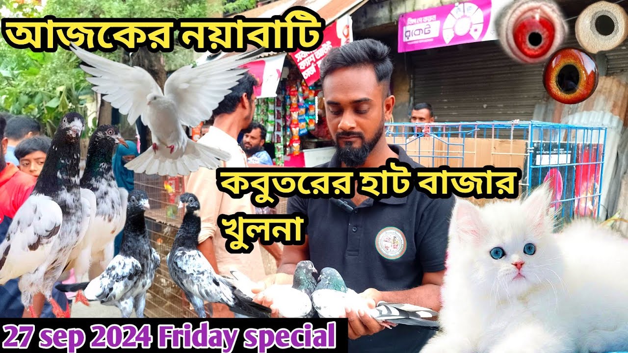 সবথেকে বড়ো কবুতরের হাট খালিশপুর নয়াবাটি(পর্ব ৯৯)largest pigeon market in khulna khalishpur noyab @bd