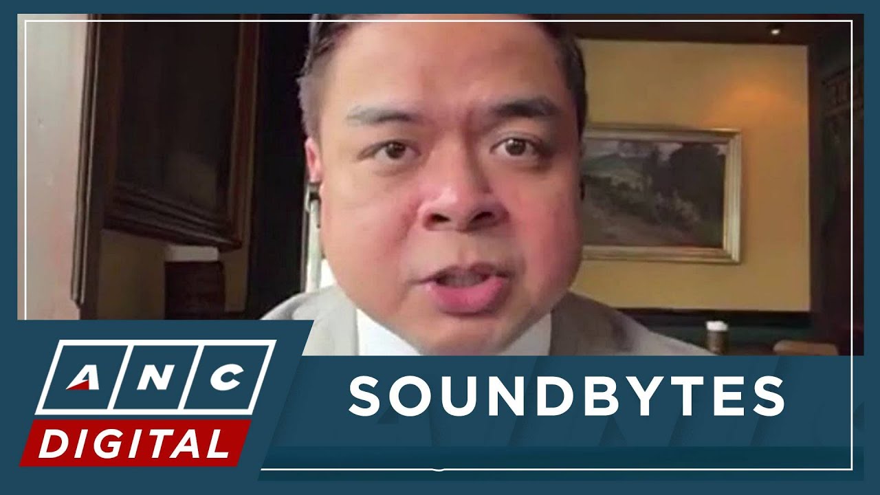 Ridon: Leviste should explain how he secured financing for his solar firms | ANC
