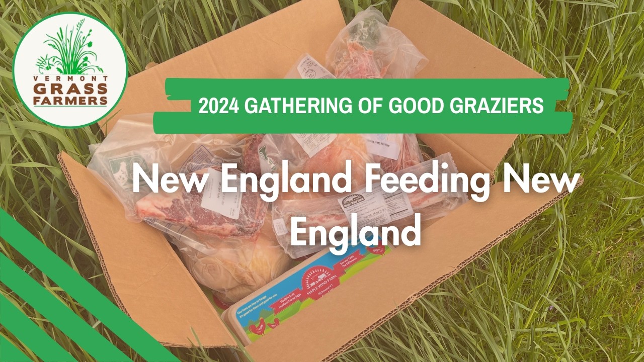 New England Feeding New England