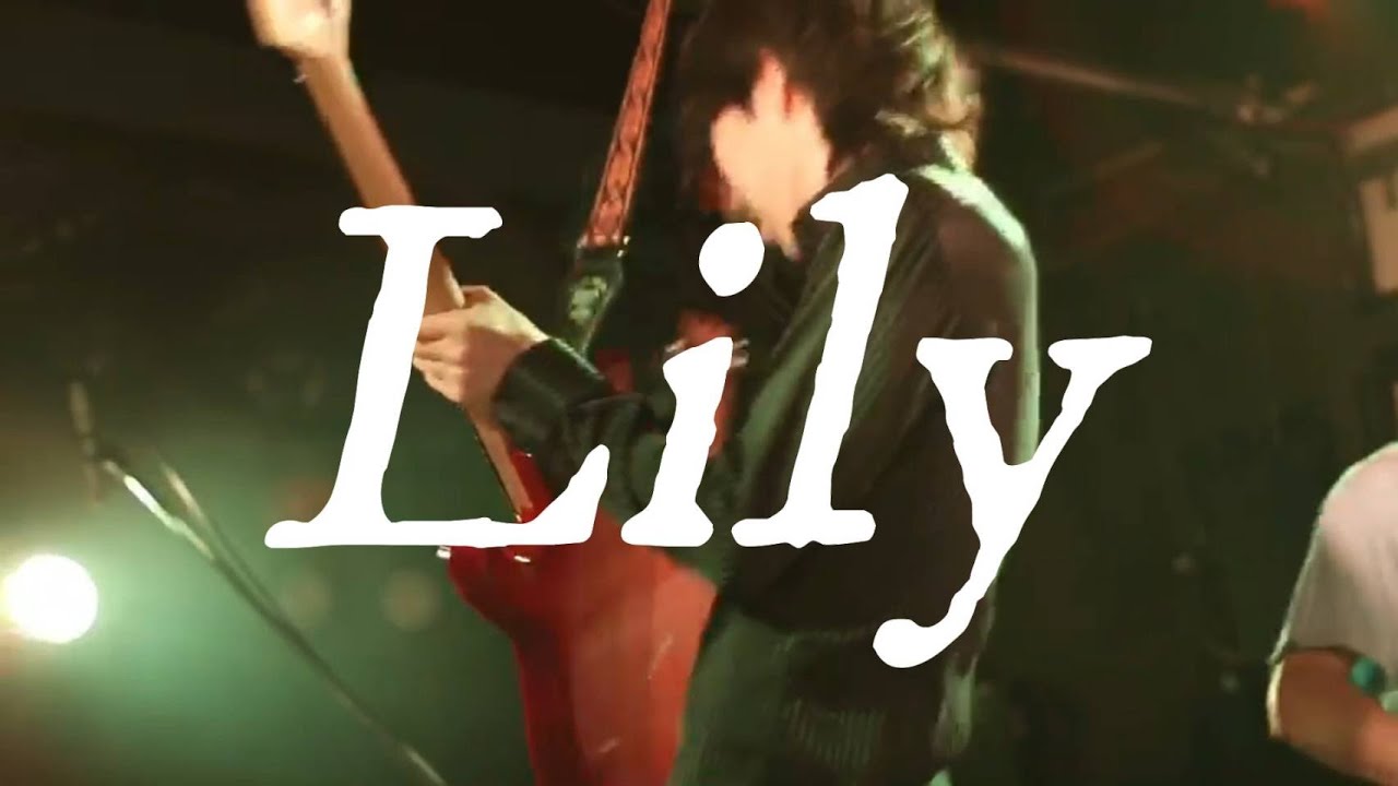 Lily / Klein Frieden