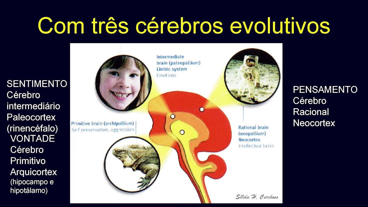 A crian&ccedil;a &eacute; a natureza - uma vis&atilde;o biol&oacute;gica | Semin&aacute;rio Crian&ccedil;a e Natureza (XI)