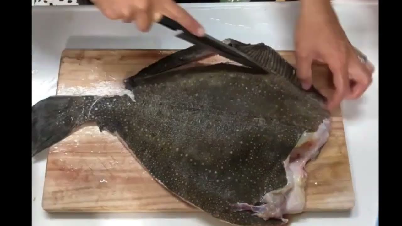 素人おじさんの魚捌きシリーズ！Part１「鮫鰈」