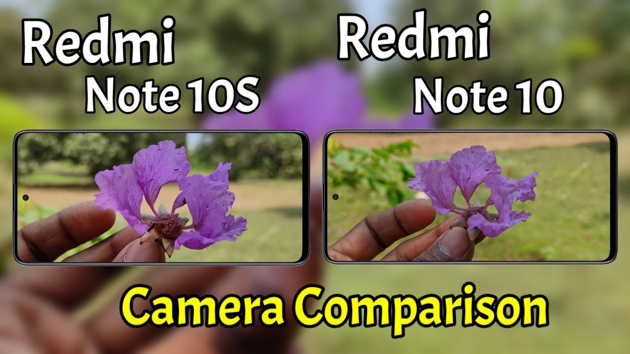 Redmi Note 10S VS Redmi Note 10 Camera Comparison