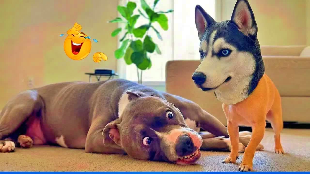 Funniest Animal Videos Ever 2026  🐮 #funnydogs #funnycats #funniestanimals