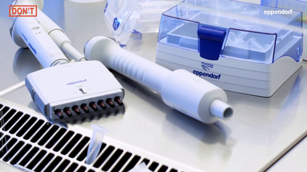 Biological safety cabinet (BSC) organization for sterile work - Cell Culture Do´s and Don´ts Part 3