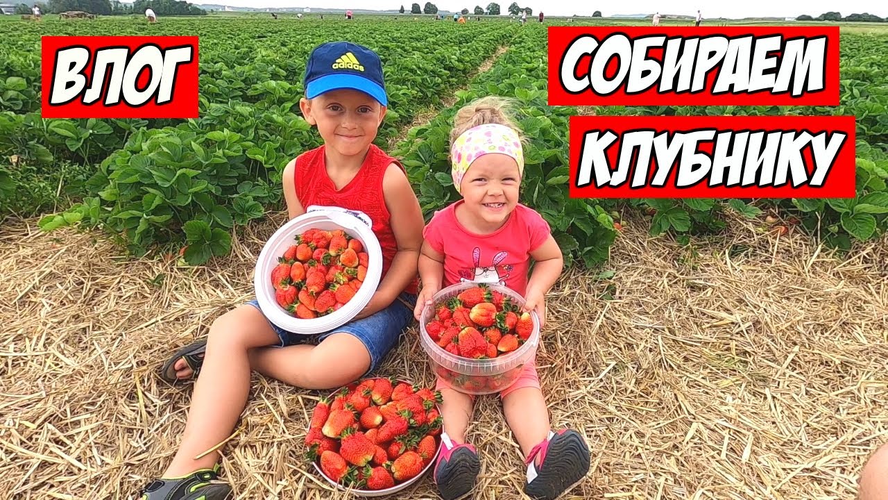 Жизнь в Германии | Собираем Клубнику в Поле у Бауэра |  Семейный влог из Германии