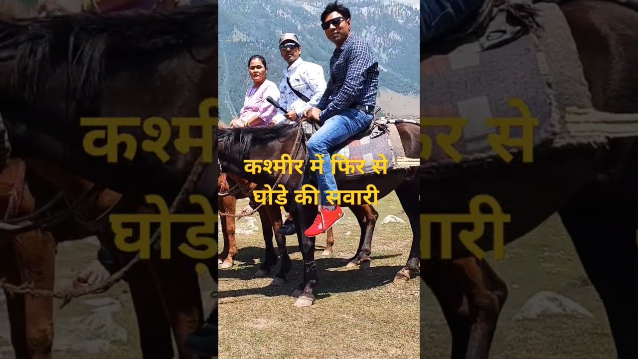 kashmir main ghode ki savari 🐎 #travel #kashmirtravel #srinagartravel #horseriding