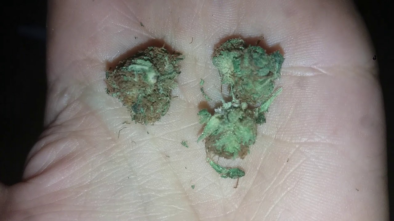 Cannabis uruguay 2018