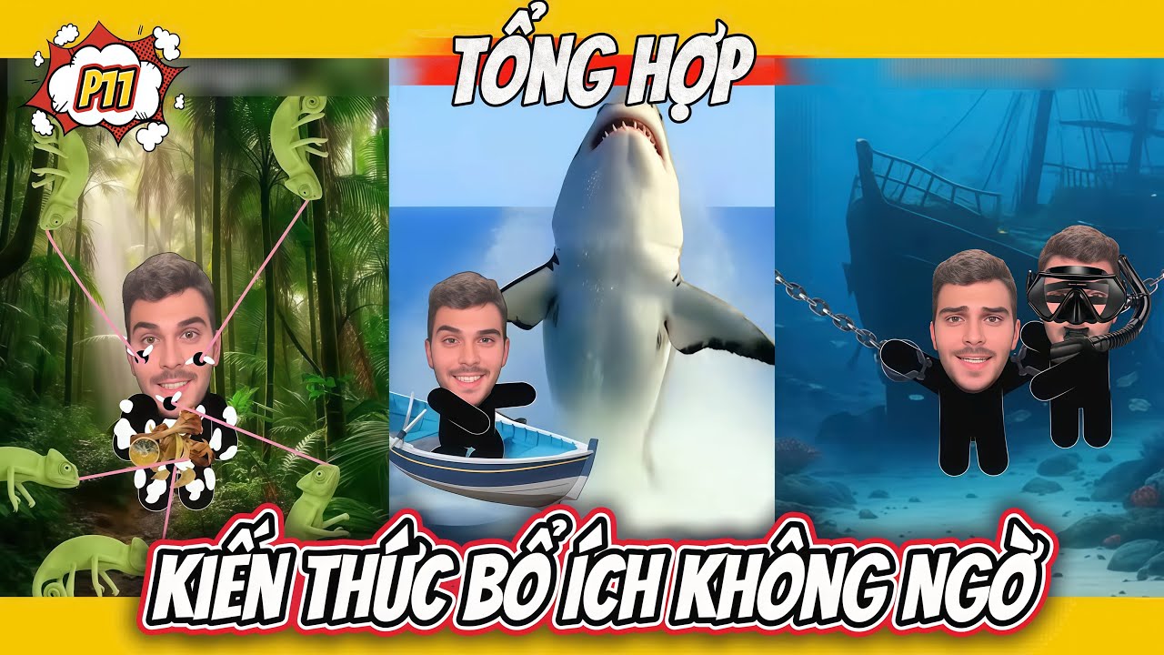 Phần 11 - Tổng Hợp Kiến Thức Bổ Ích Không Ngờ