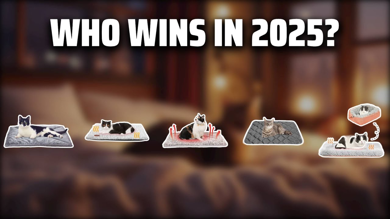 The Top 5 Best Self Heating Cat Bed in 2025 - Must Watch Before Buying!