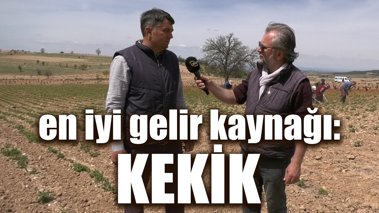En İyi Gelir Kaynağı: KEKİK - Bizim Köy