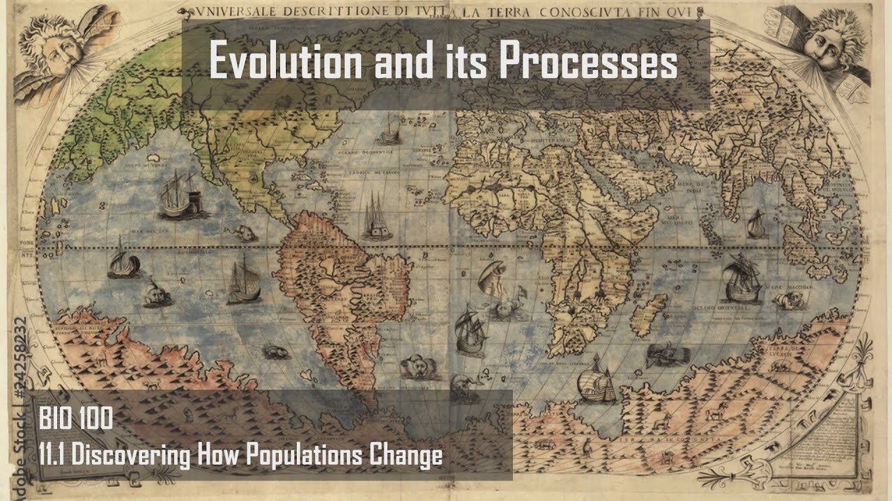 Evolution and its Processes
