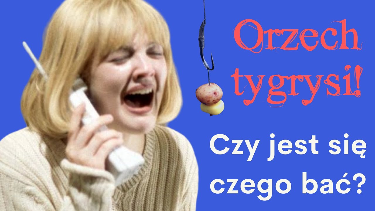 Zakaz stosowania orzecha tygrysiego. Czy słusznie?