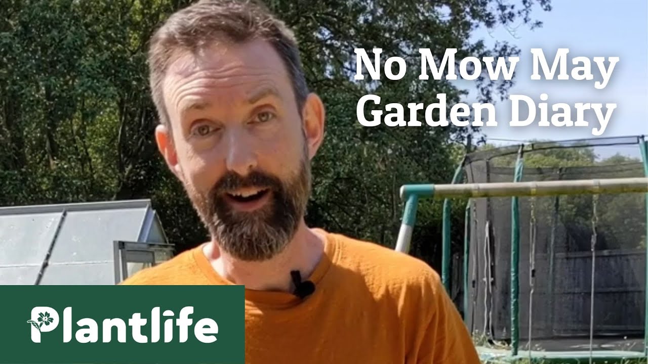 No Mow May Garden Video Diary - June