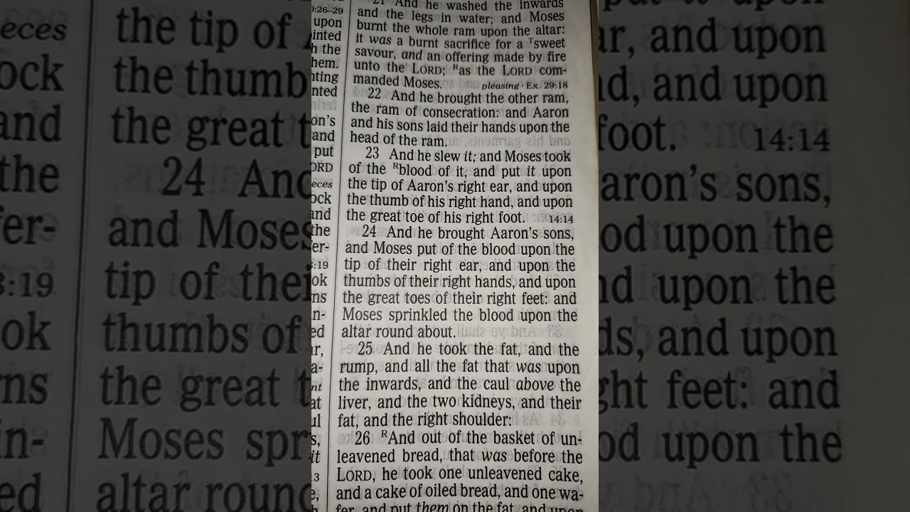 READING THE BOOK OF LEVITICUS CHAPTER 8