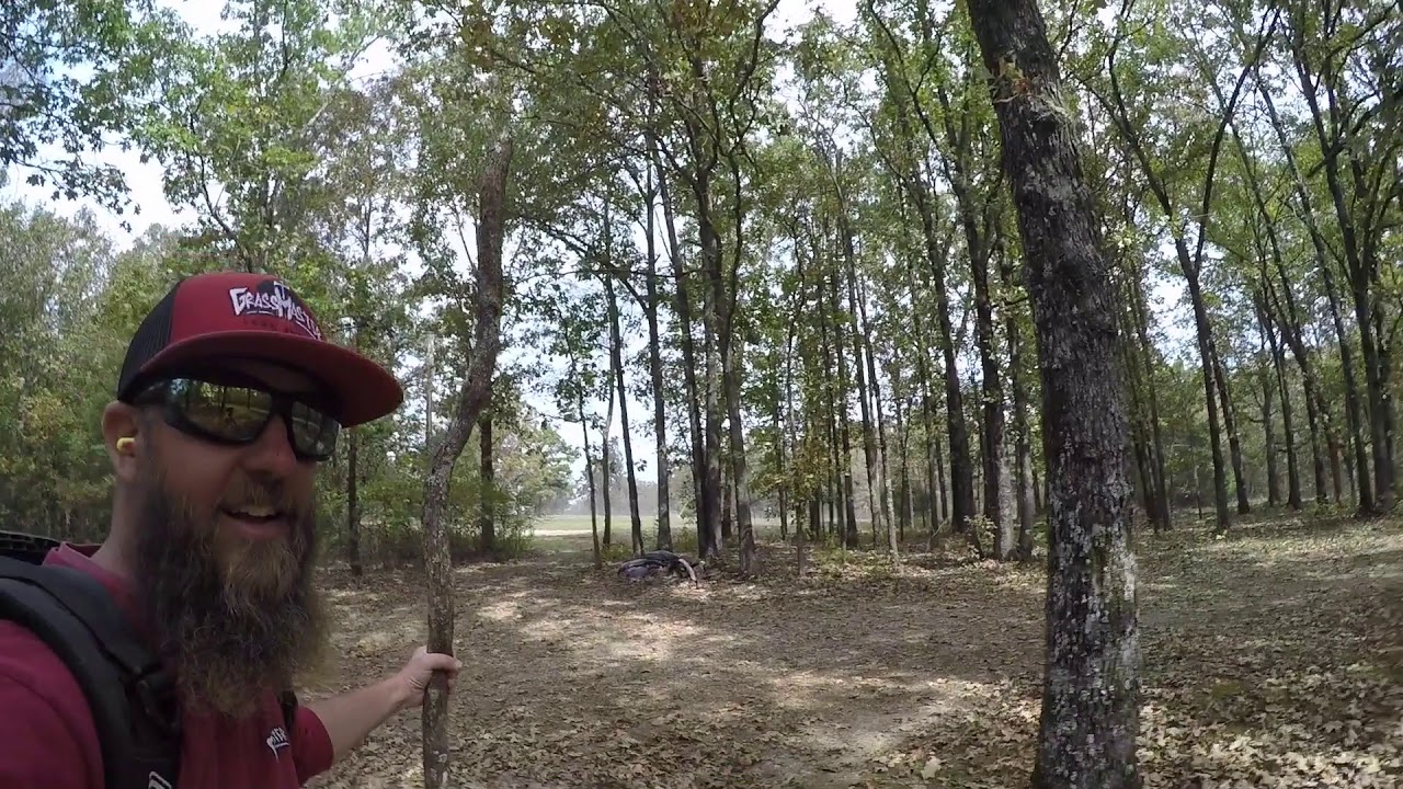 ECHO PB 8010 Backpack Blower Review - Extreme TEST (Sticks, Walnuts, Leaves in the Woods...)