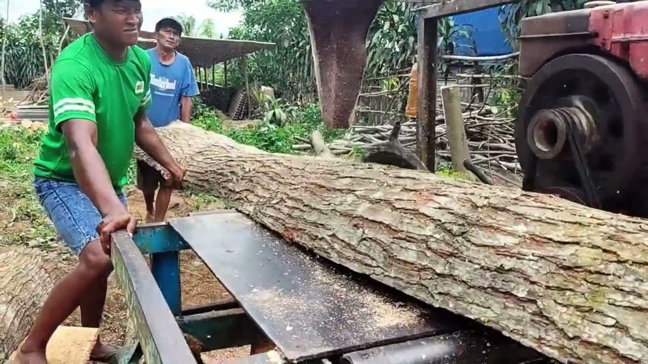 Keuntungan tak terduga, kedatangan operator dari Wlingi saat meng gergaji kayu mahoni