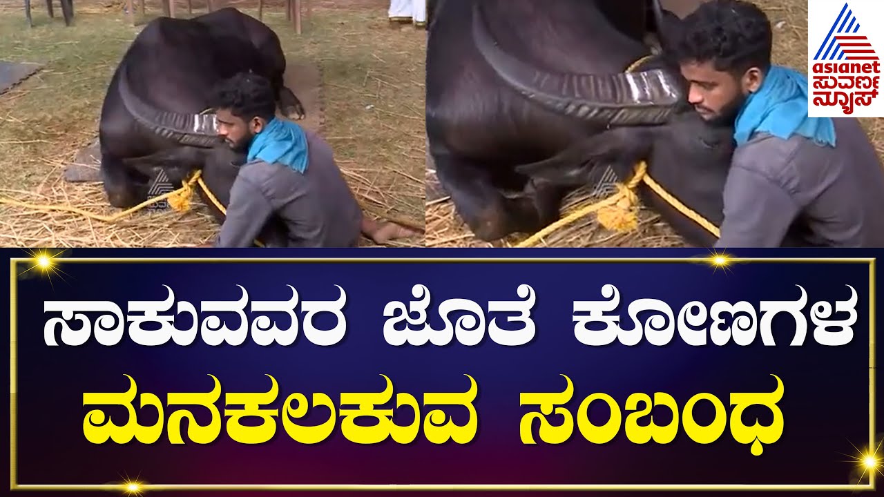 ಸುವರ್ಣ ನ್ಯೂಸ್ ಕ್ಯಾಮಾರಾದಲ್ಲಿ ಸೆರೆಯಾಯ್ತು ಮನಕಲಕುವ ದೃಶ್ಯ | Bengaluru Kambala | Kannada News