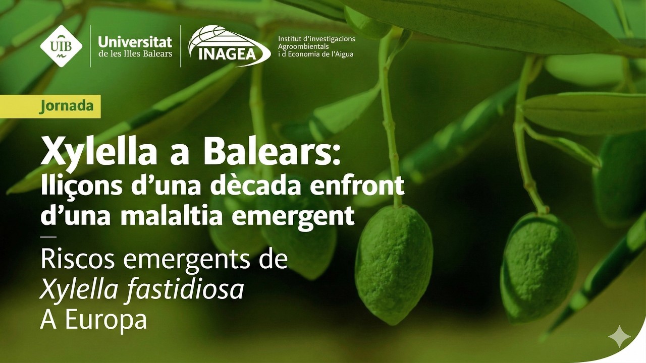Part 3: Riscos emergents de Xylella fastidiosa a Europa