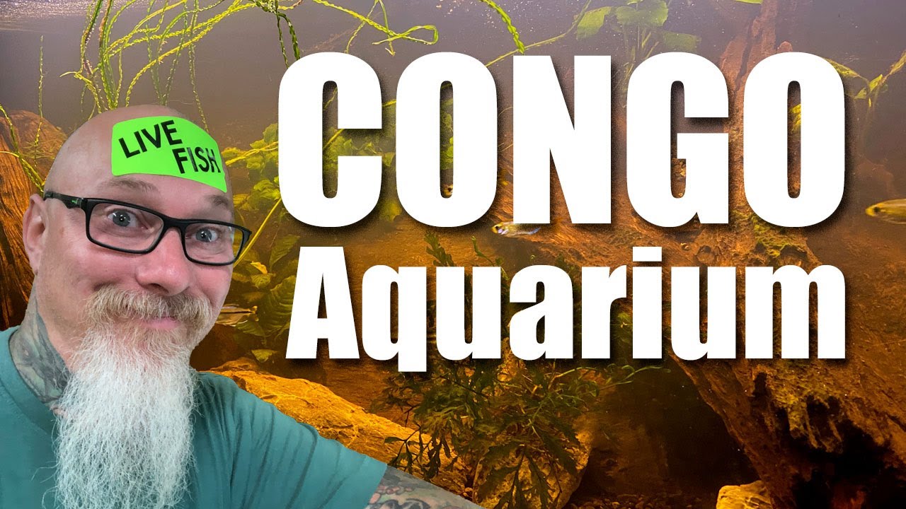 The Congo Aquarium