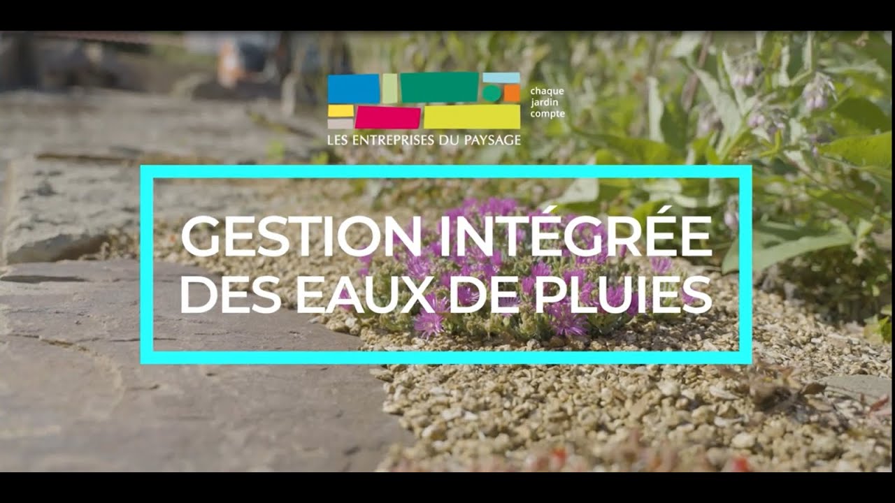Gestion intégrée des eaux de pluies