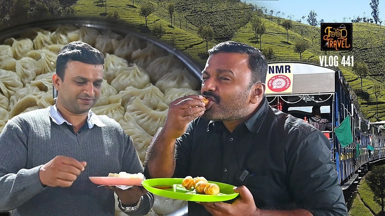 ചായ മരം മുതൽ ഡാർജിലിങ് മോമോസ് വരെ | Ooty Coonoor Specialty Tea, Tea Trees, and Darjeeling Momos