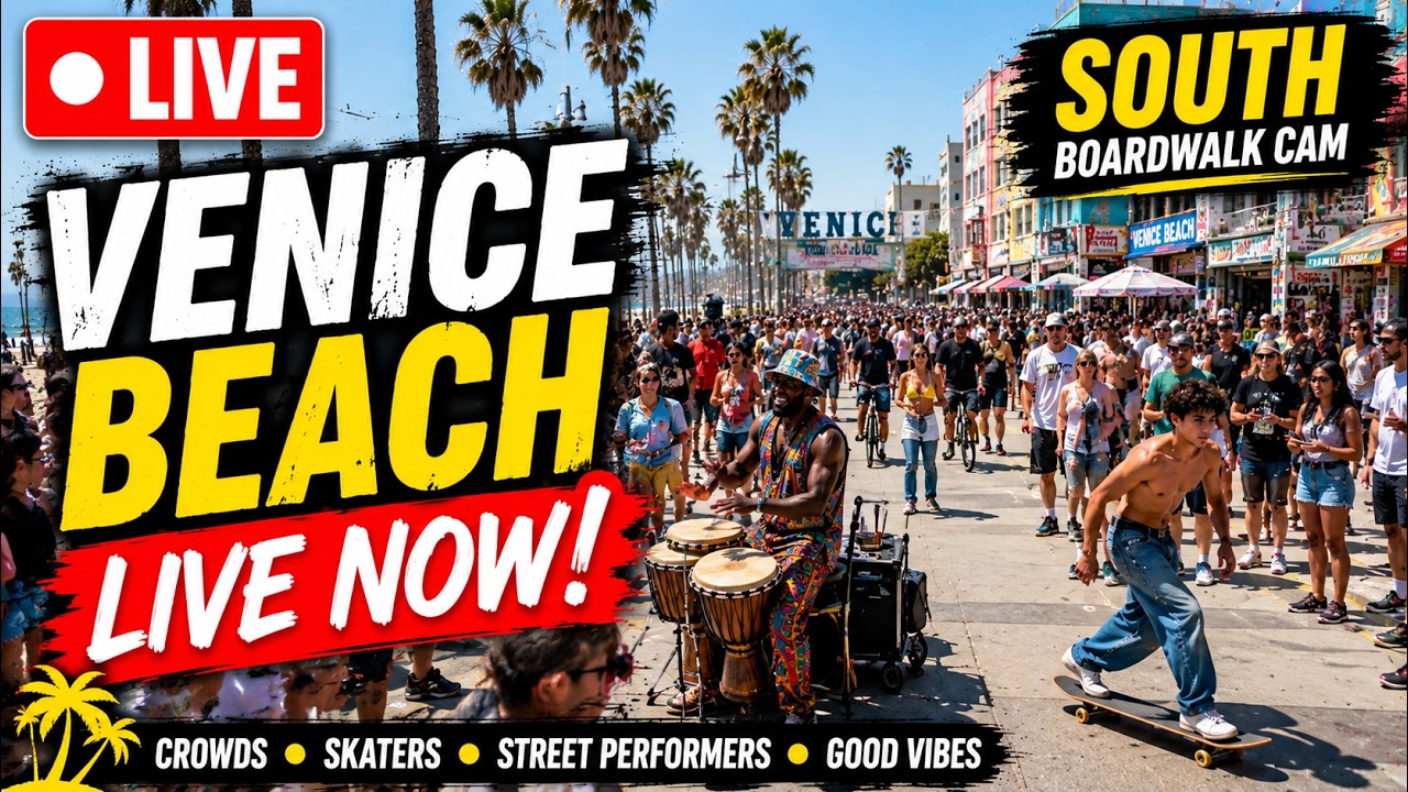 🔴 Venice Beach LIVE Cam 24/7 🌊 South Boardwalk Cam | Skaters, Music, Street Performers & Ocean