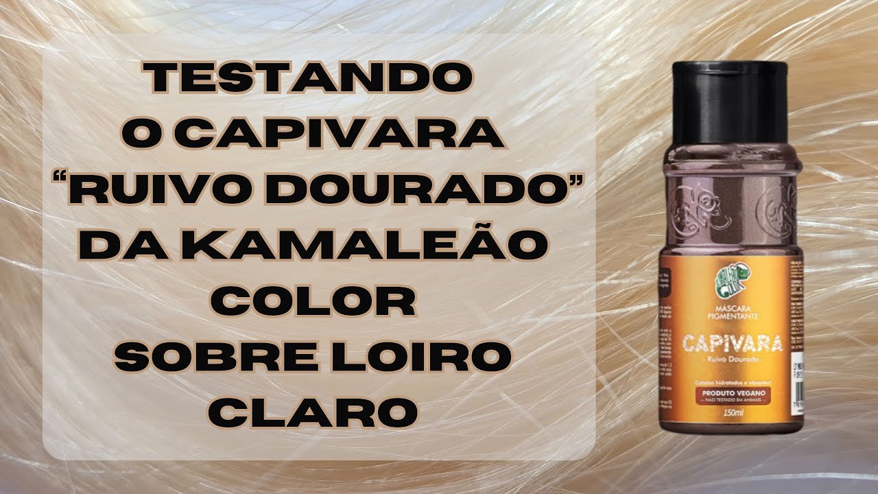 Testando o 