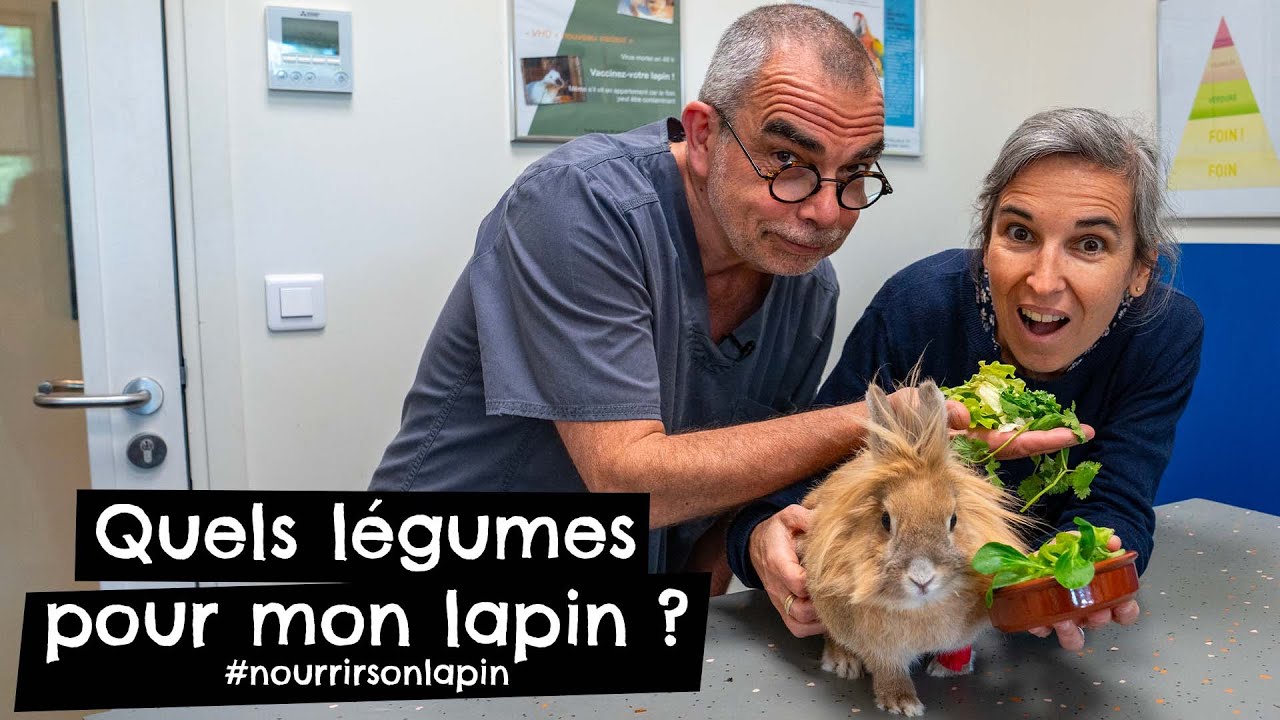 Quels légumes pour mon lapin ? #nourrirsonlapin 🐰