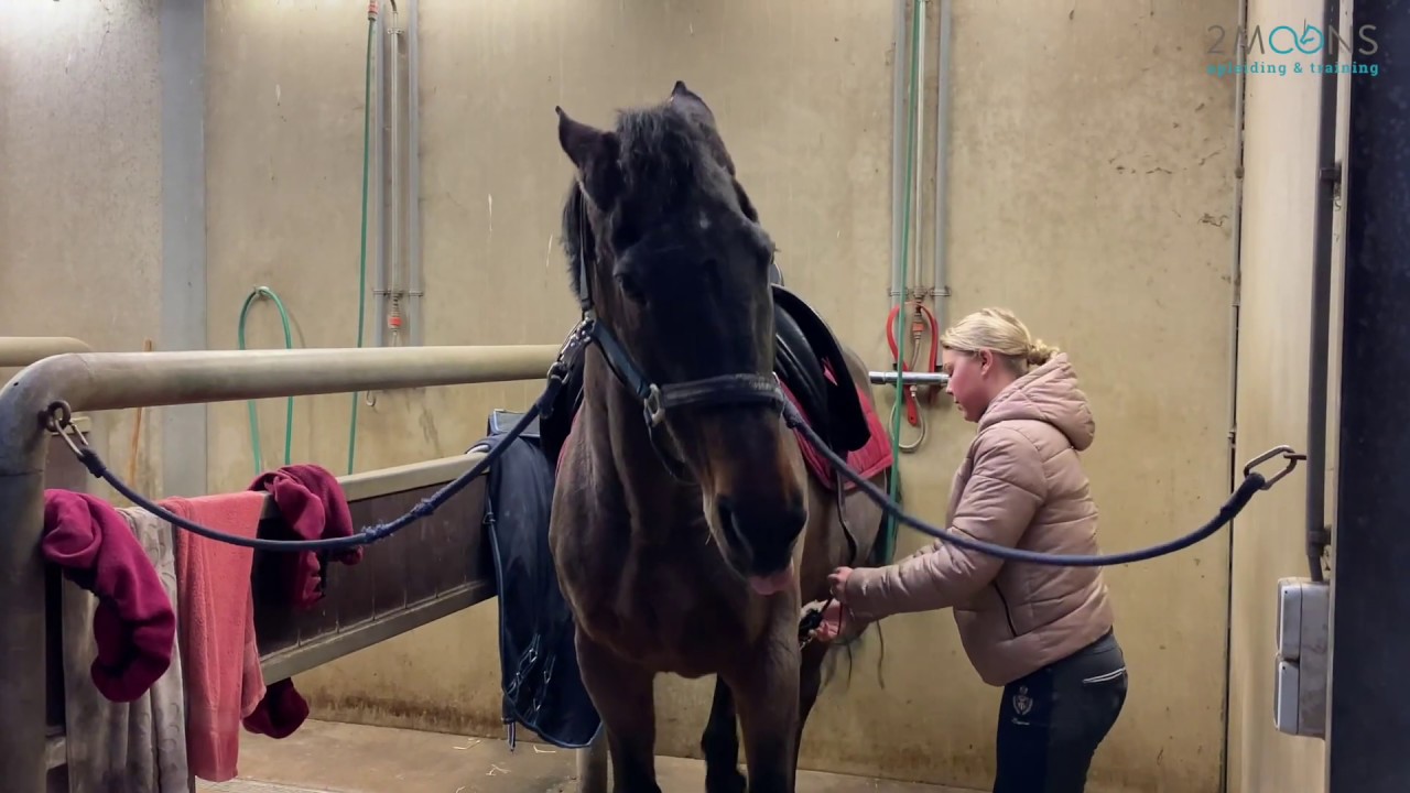 “Tja…, zo gedraagt mijn paard zich nu eenmaal”