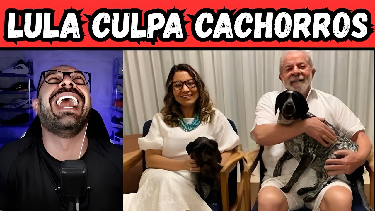 Lula culpa cachorros por endividamento das fam&iacute;lias. #4k #4kvideo