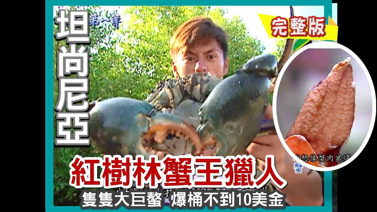 【坦尚尼亞】比大腿海島巨鼠/ 香料島限定 芒果老鼠湯/紅樹林臉盆大螃蟹 /水煮巨螯如大雞腿/生吃怪樹防瘧疾｜《世界第一等》516集完整版