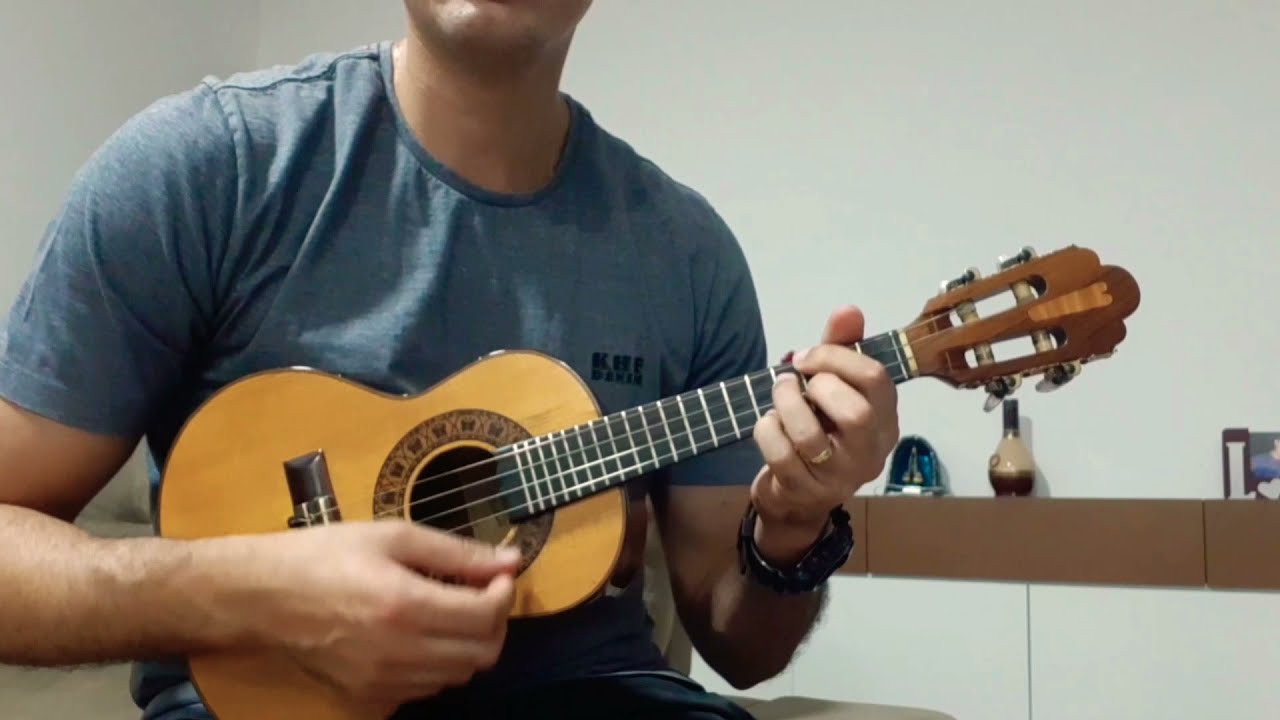 Zeca Pagodinho Termina Aqui CAVACO