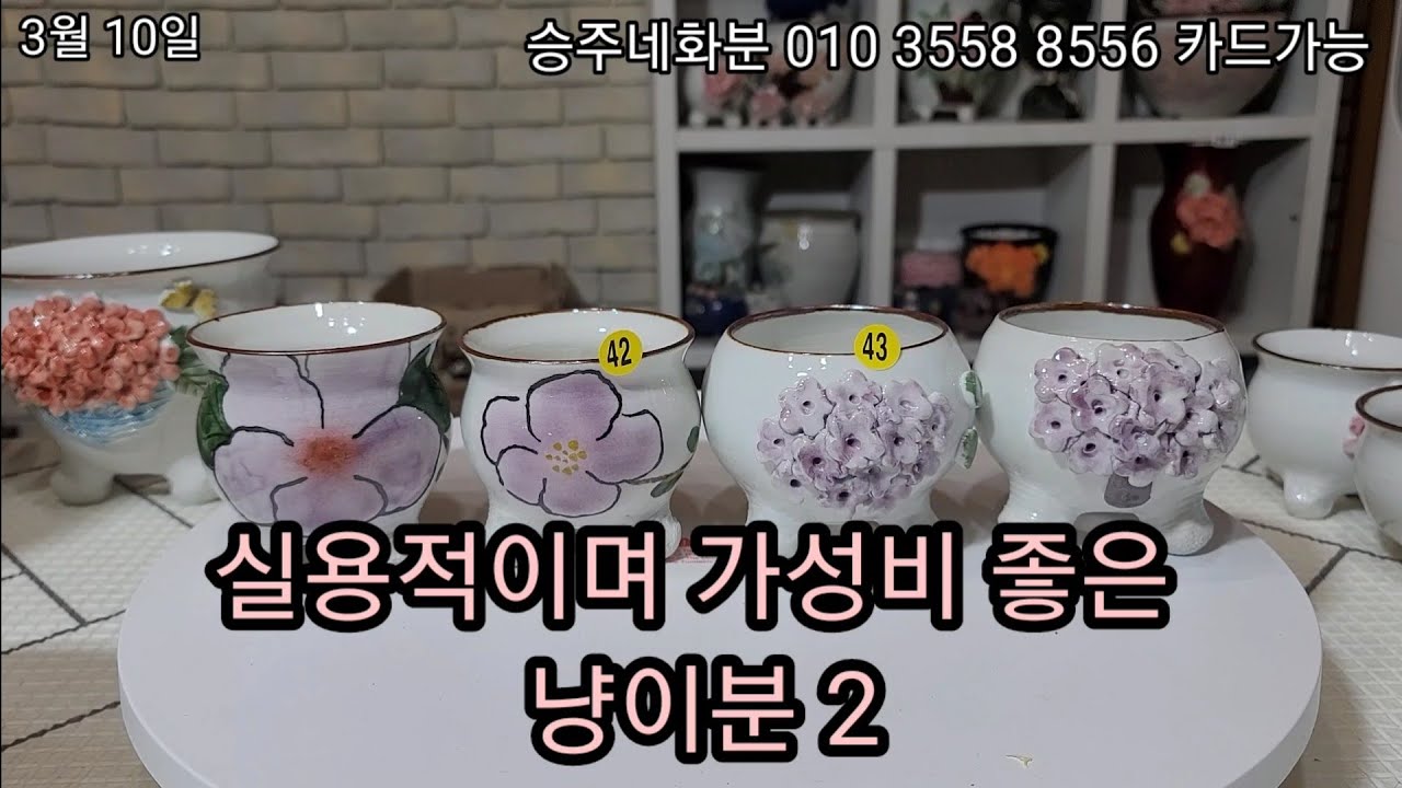 3월 10일 실용적이며 가성비 좋은 냥이분 #승주네화분 #냥이네공방분 