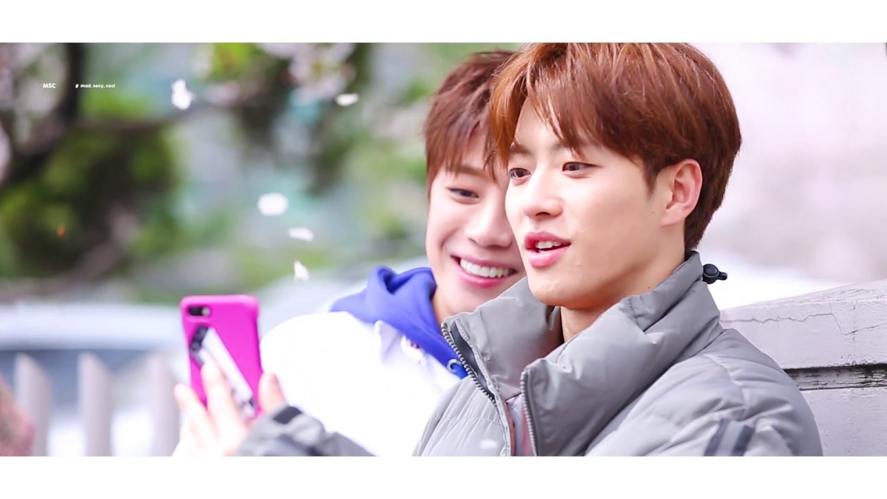 봄날의 의진을 좋아하세요?
