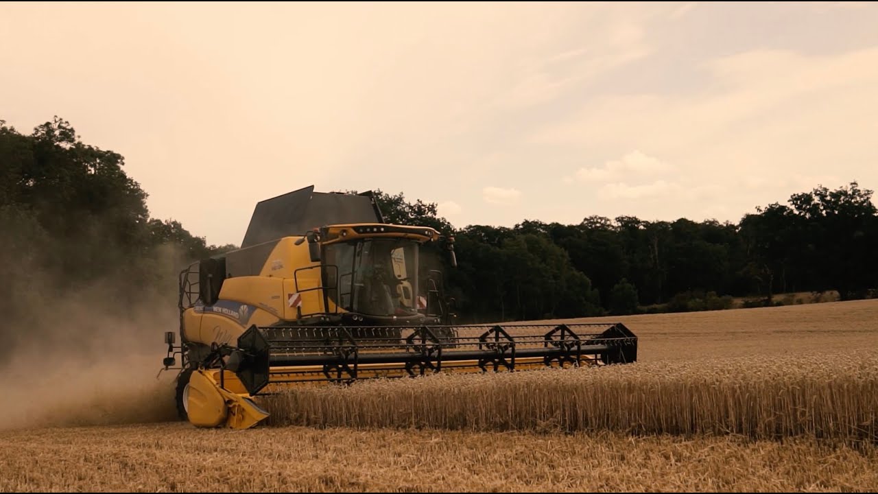 New Holland Mähdrescher: Der CR auf Gut Rubow in Mecklenburg-Vorpommern