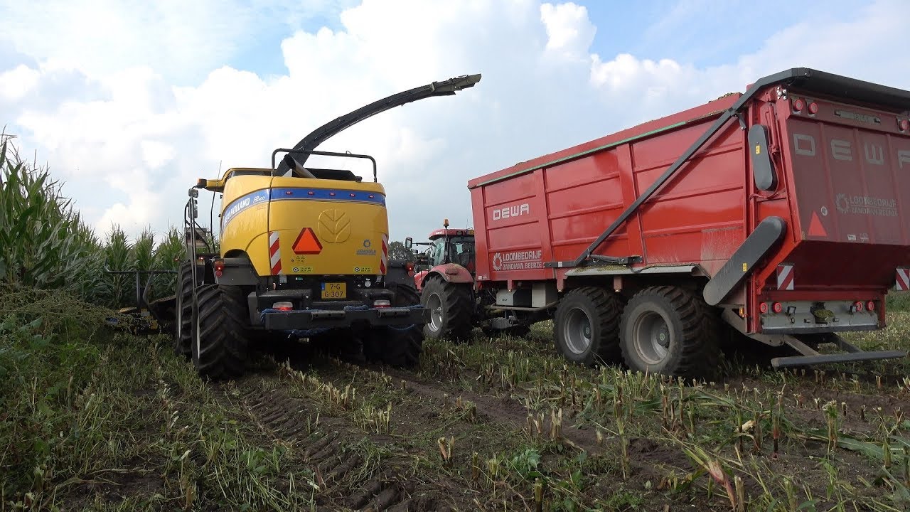 Loonbedrijf Zandman Beerze aan het mais hakselen in Mariënberg (2019)