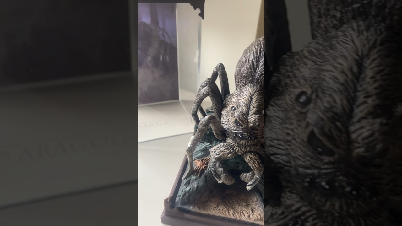 Harry Potter - Magical creatures- Aragog