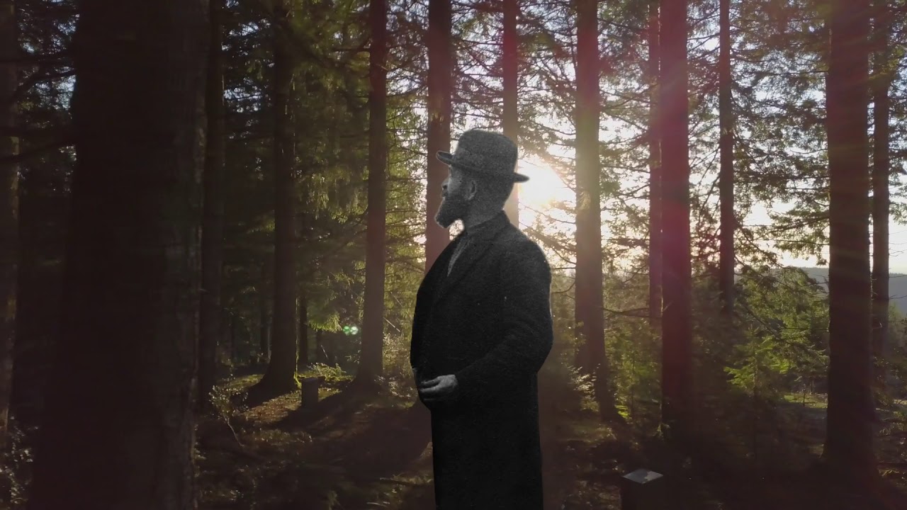 The Millevanche Plateau Forest