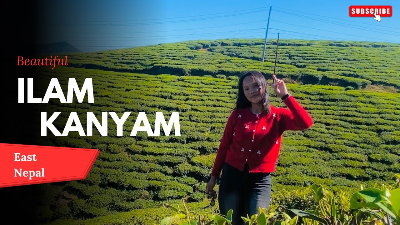 Natural Beauty, Tea Garden and Greenery IlAM KANYAM