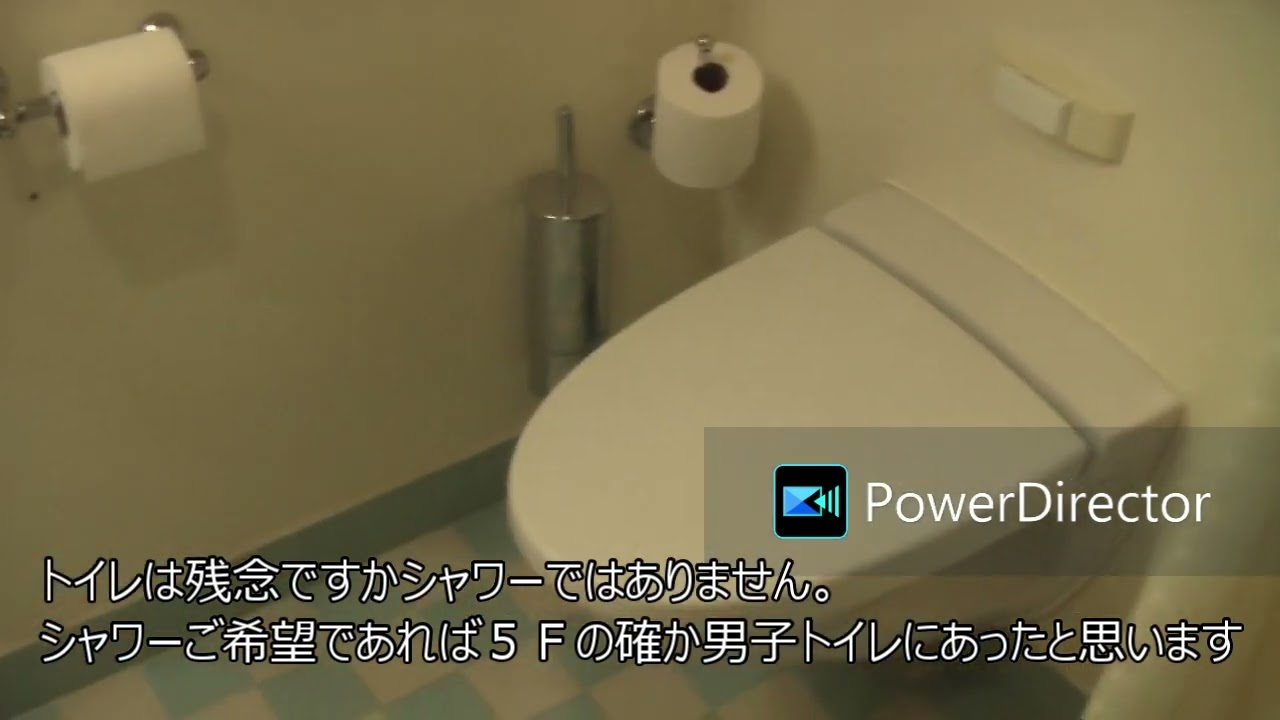 ダイプリ車椅子対応キャビン