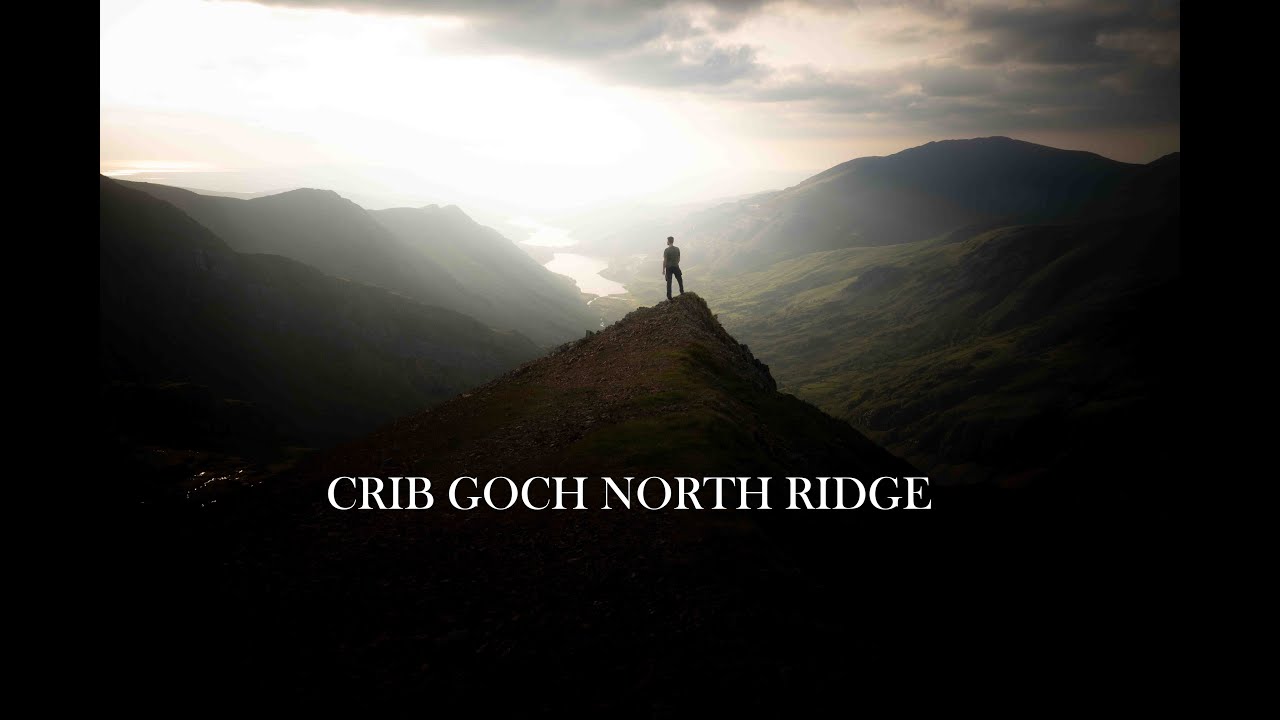 CRIB GOCHS QUIETER SIDE!